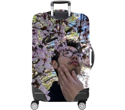 Custom Luggage Cover