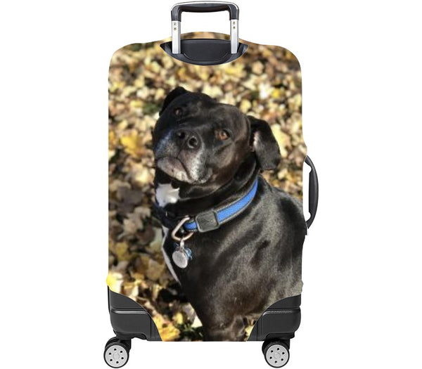 Custom Luggage Cover