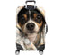 products/10538_CAPTBACK_1578249049.4097.jpg