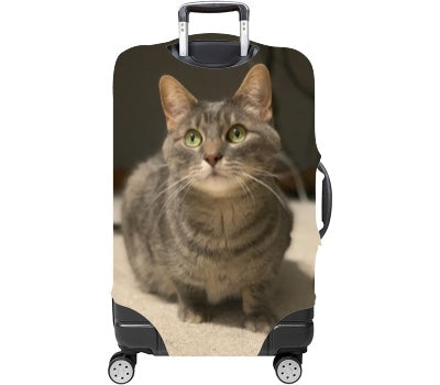Custom Luggage Cover