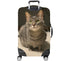 products/10538_CAPTBACK_1579489061.9407.jpg