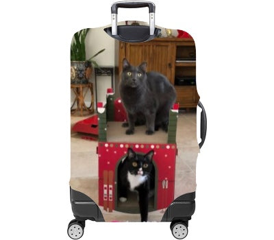 Custom Luggage Cover