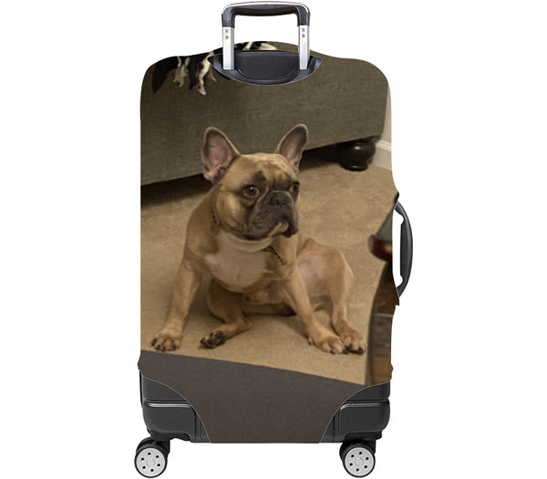 Custom Luggage Cover