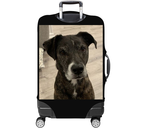 Custom Luggage Cover