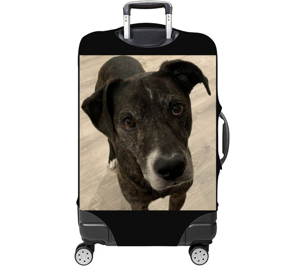 Custom Luggage Cover
