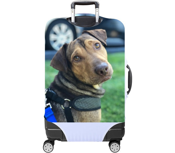 Custom Luggage Cover