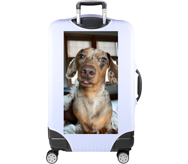 Custom Luggage Cover
