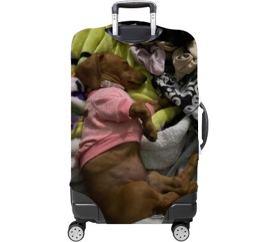 Custom Luggage Cover