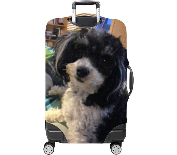 Custom Luggage Cover