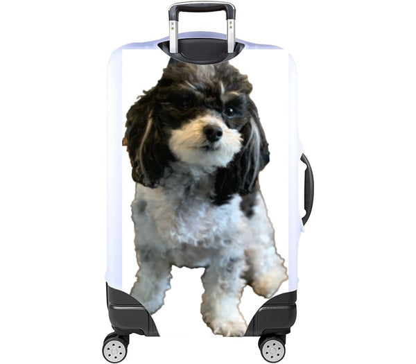 Custom Luggage Cover