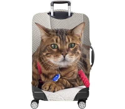Custom Luggage Cover