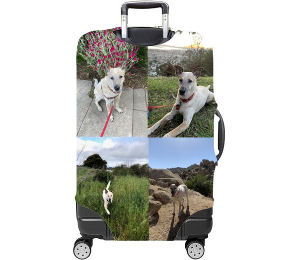 Custom Luggage Cover