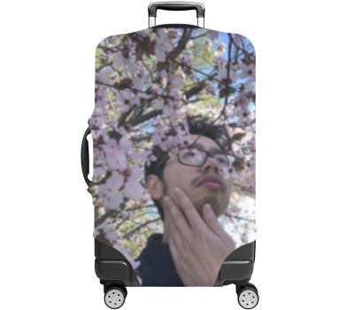 Custom Luggage Cover