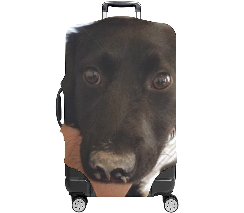 Custom Luggage Cover
