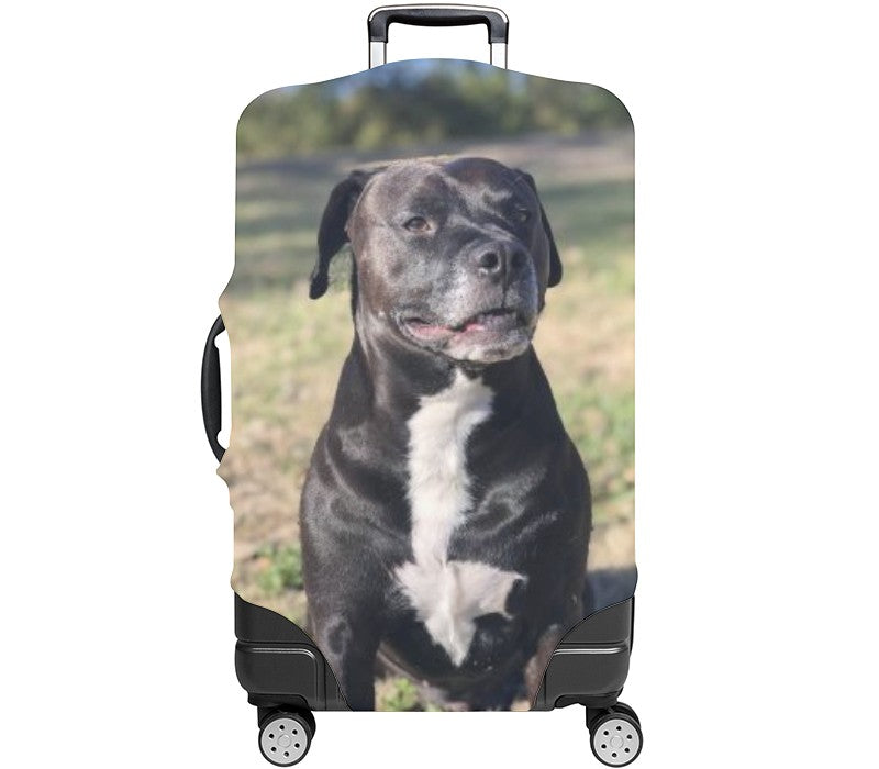 Custom Luggage Cover
