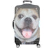 Custom Luggage Cover