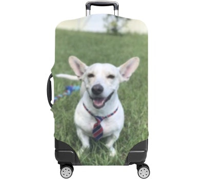 Custom Luggage Cover