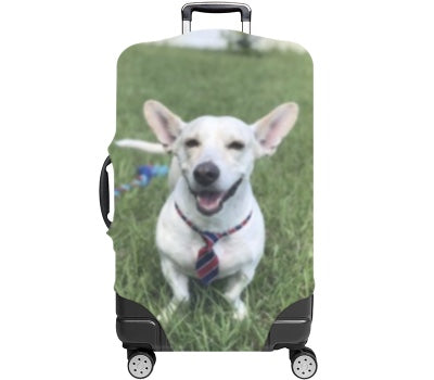 Custom Luggage Cover
