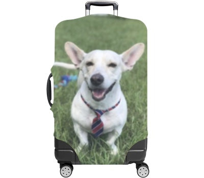 Custom Luggage Cover
