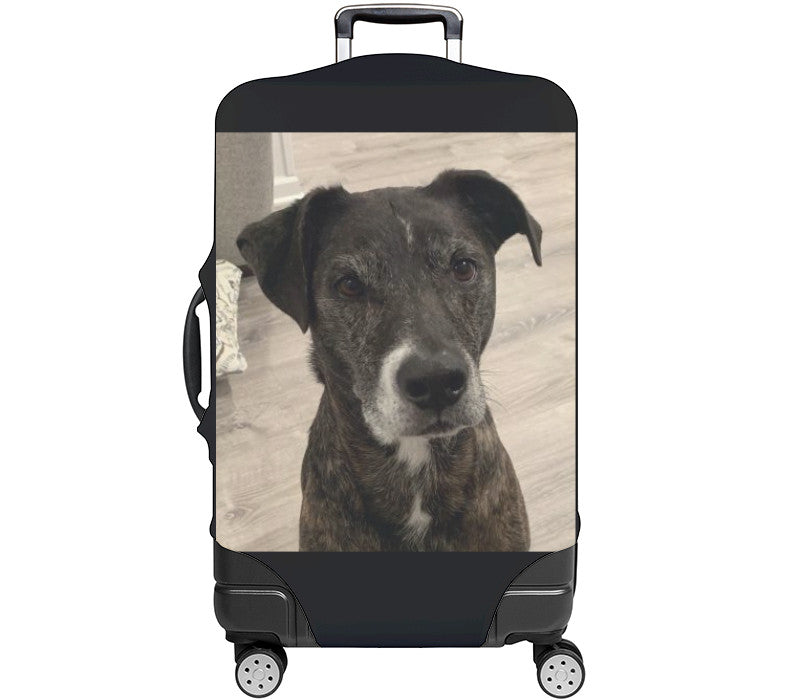 Custom Luggage Cover