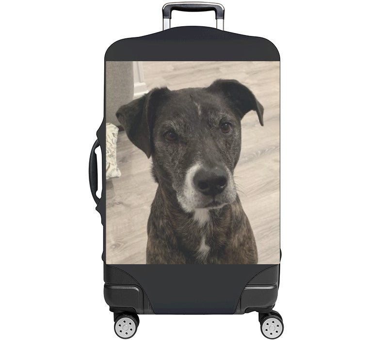 Custom Luggage Cover