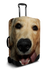 products/AnimalStretch.png