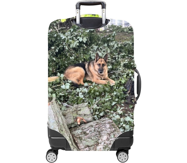 Custom Luggage Cover