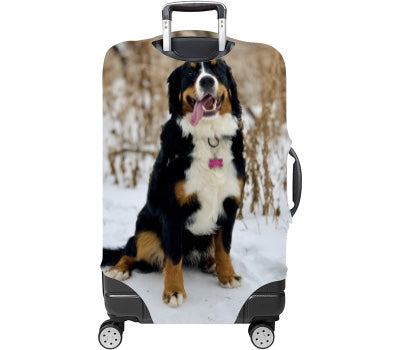 Custom Luggage Cover
