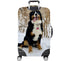 files/10538_CAPTBACK_1727018453.1617.jpg