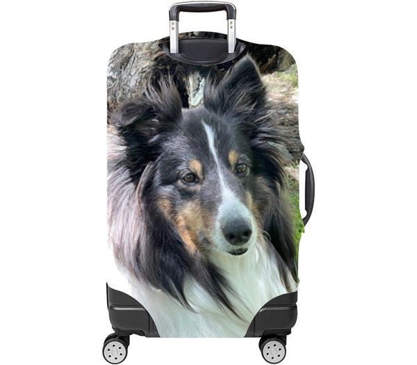 Custom Luggage Cover