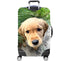 files/10538_CAPTBACK_1732383832.3.jpg