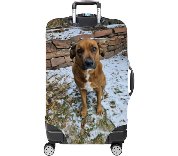 Custom Luggage Cover