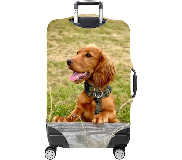 Custom Luggage Cover