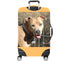 files/10538_CAPTBACK_1745464456.5979.jpg