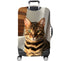files/10538_CAPTBACK_1752069416.0767.jpg