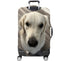 files/10538_CAPTBACK_1753549475.2856.jpg