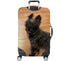 files/10538_CAPTBACK_1753654118.2776.jpg
