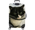 files/10538_CAPTBACK_1785120941.4575.jpg