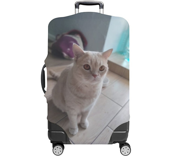 Custom Luggage Cover