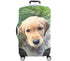Custom Luggage Cover