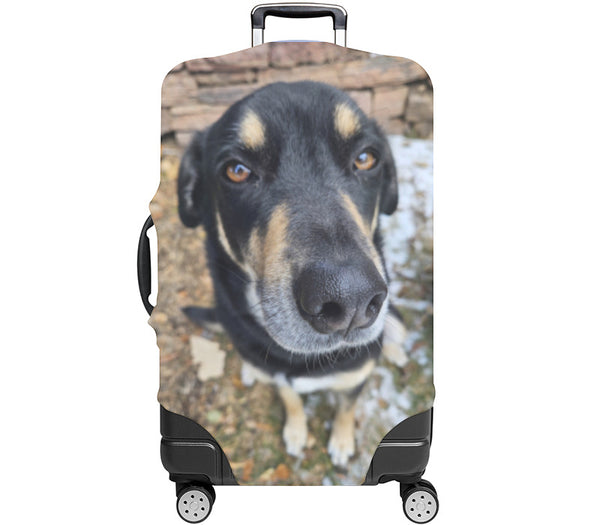 Custom Luggage Cover