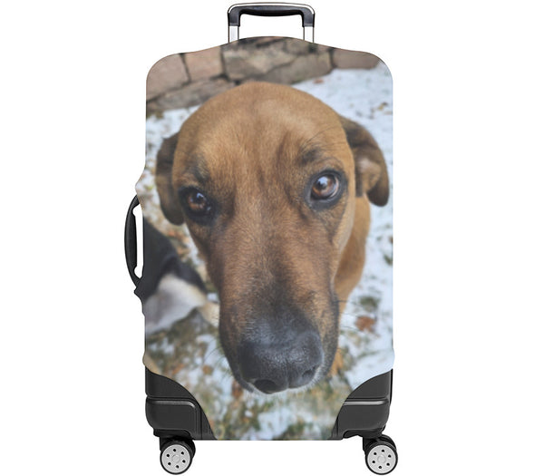 Custom Luggage Cover