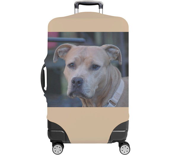 Custom Luggage Cover