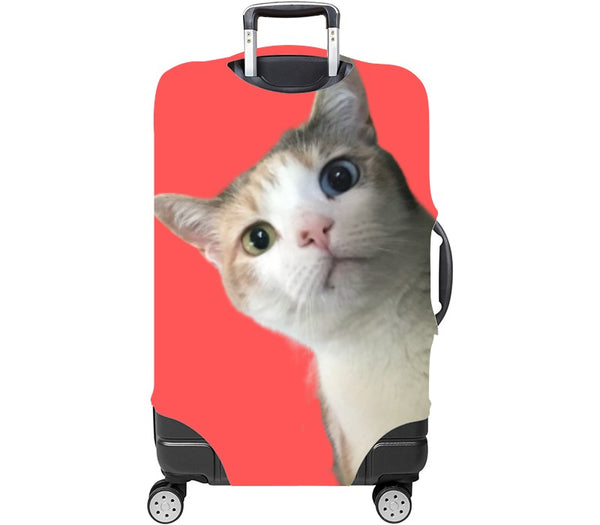 Custom Luggage Cover