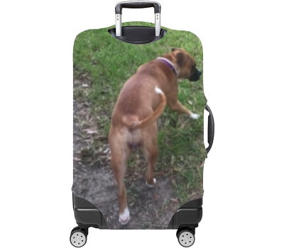 Custom Luggage Cover