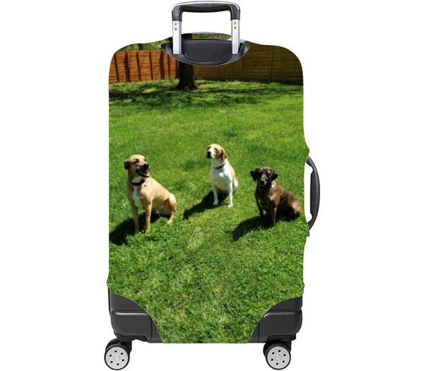 Custom Luggage Cover