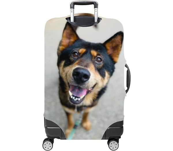 Custom Luggage Cover