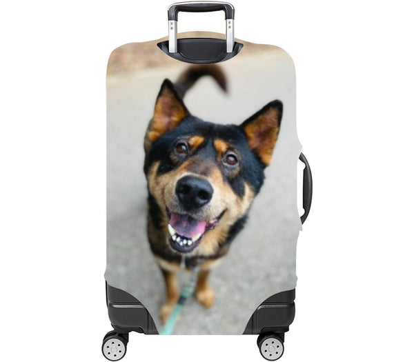 Custom Luggage Cover