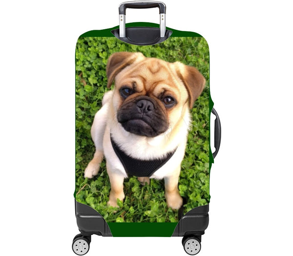 Custom Luggage Cover