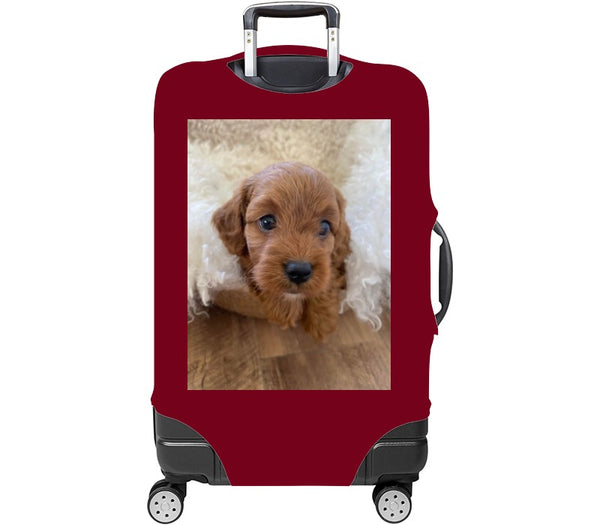 Custom Luggage Cover